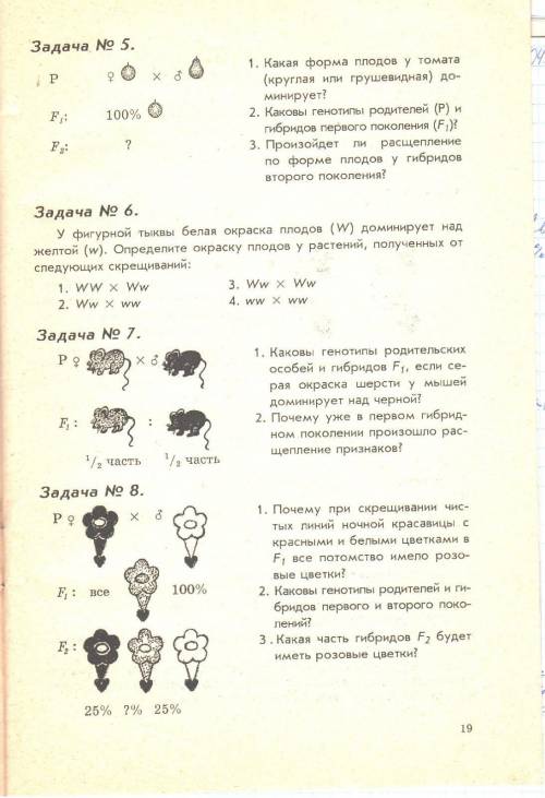 Задачи по биологии 10 класс