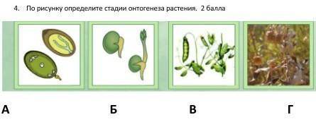 если не трудно Заранее благодарю!​