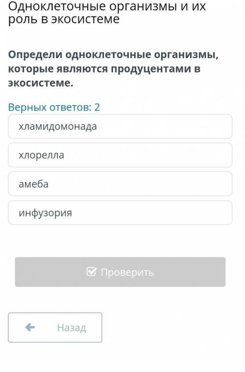 Определи одноклеточные организмы которые являются продуцентами в экосистеме БЫСТРО