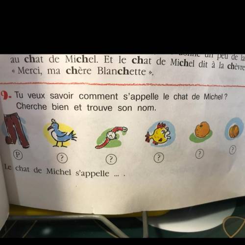 9. Tu veux savoir comment s'appelle le chat de Michel ? Cherche bien et trouve son nom. P ? ? ? ? Le