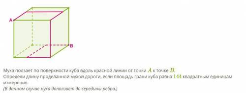 Муха ползает по поверхности куба вдоль красной линии от точки A к точке B. Определи длину проделанно