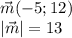 \vec{m}( - 5;12) \\ |\vec{m}| = 13