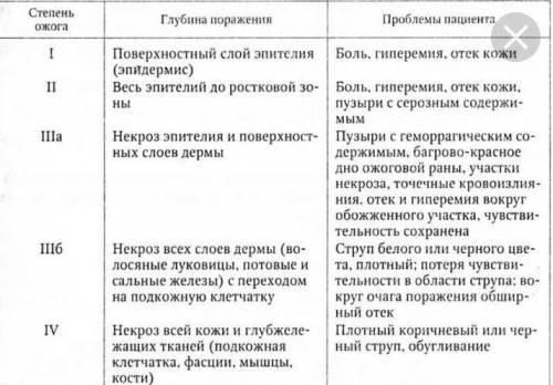 На какие степени принято подразделять термические ожоги?