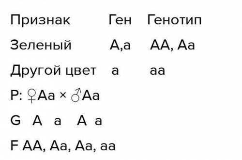 Составить схему скрещивания между зеленым и синим попугаем