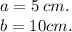 a = 5 \: cm. \\ b = 10cm.