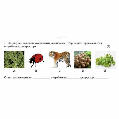 На рисунке показаны компоненты экосистемы определите производителя потребителя деструктора