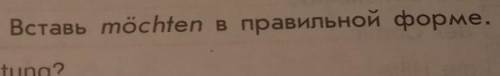 Вставь möchten в правильной форме. умоляю е​