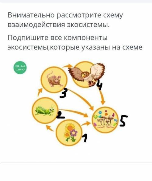 ТЕКСТ ЗАДАНИЯ Внимательно рассмотрите схемувзаимодействия экосистемы.Подпишите все компонентыэкосист