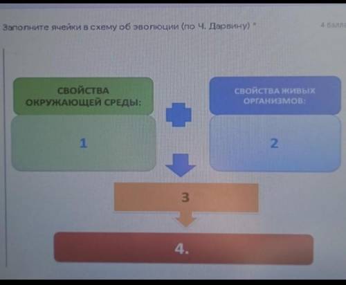 БИОЛОГИЯ, ЗАПОЛНИТЬ СХЕМУ​