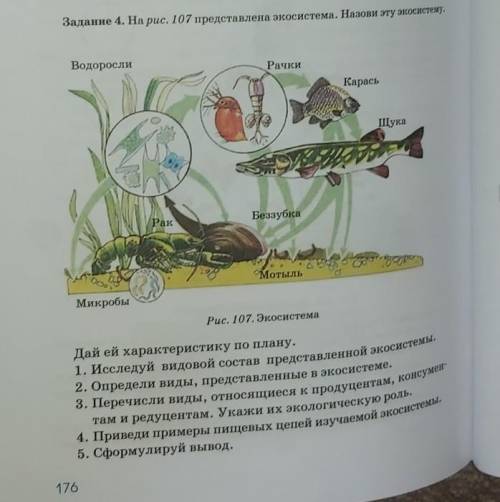 Дай ей характеристику по плану. 1. Исследуй видовой состав представленной экосистемы. 2. Определи ви