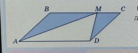 На рисунку зображено паралелограм ABCD, площа якого дорівнює 60 см2. Точка M – середина сторони BC. 