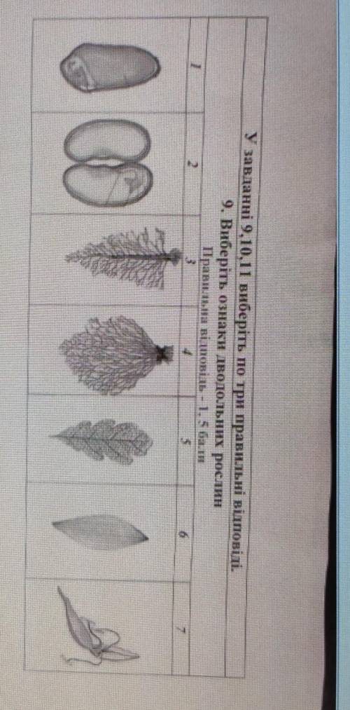 9. Виберіть ознаки дводольних рослин​