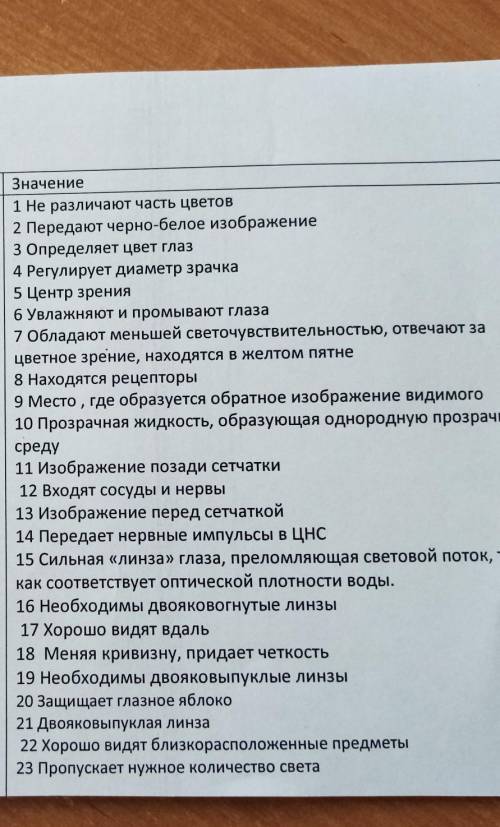 1)Глазница 2)Веки3)Ресницы4)Слезные железы 5)Слезы 6)Белочная оболочка-склера7)Роговица8)Сосудестая 