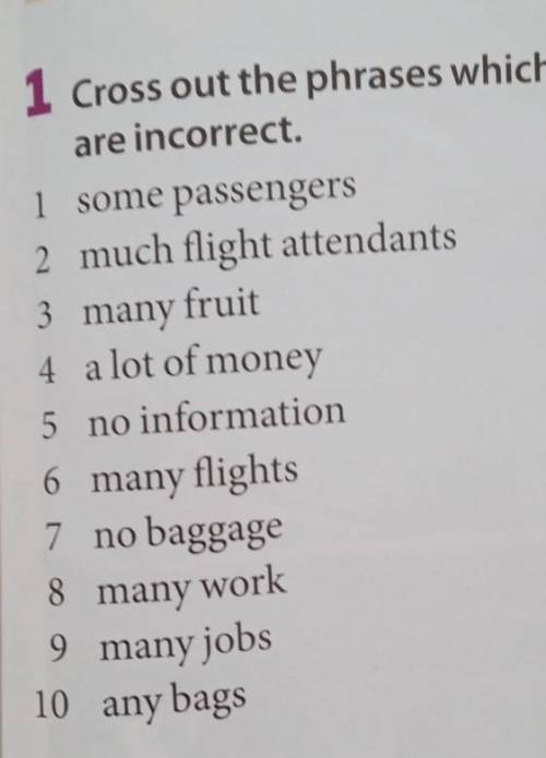 Я Леон из броул старс. 1 Cross out the phrases whichare incorrect.1 some passengers2 much flight att