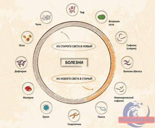 . Рассмотрите данные изображения, объясните, что вывозили из Нового Света (то есть открытых территор