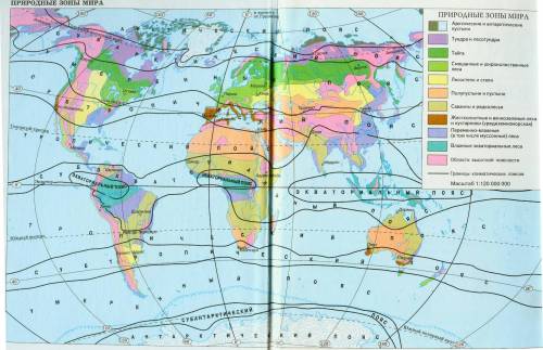 Выполните письменное задание Определите по карте, какие природные зоны расположены в Северной Америк