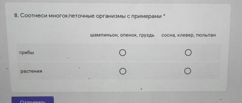 8. Соотнеси многоклеточные организмы с примерами*шампиньон, опенок, груздьсосна, Клевер, тюльпангриб