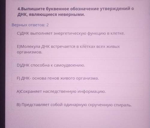 4.Выпишите буквенное обозначение утверждений о ДНК, являющиеся неверными.Верных ответов: 2С)ДНК выпо