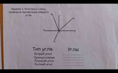 Задание 1. Используя схему, приведите пример вида каждого угла.