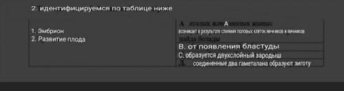 1.Эмбрион 2.Развитие плода 1)А , ? 2) ? , ?​