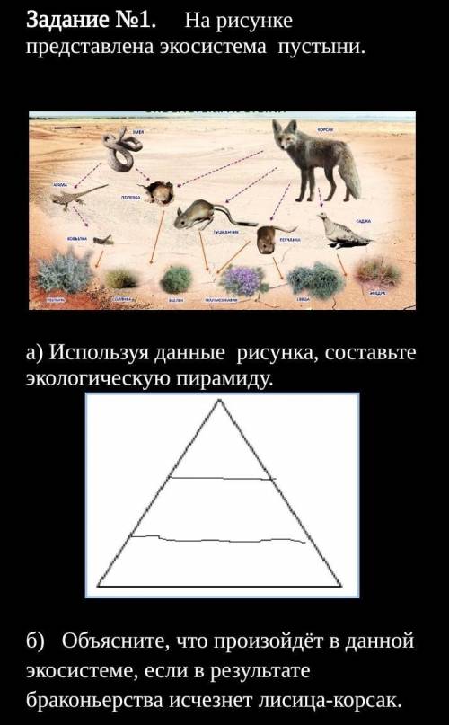 Задание №1.     На рисунке представлена экосистема  пустыни.  a) Используя данные  рисунка, составьт