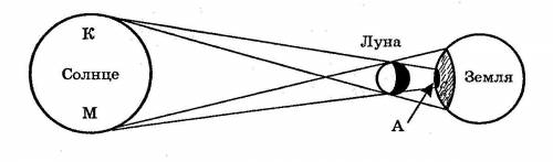 15Б 1.При солнечном затмении на Земле образуется тень и полутень от Луны. Что видит человек, находящ