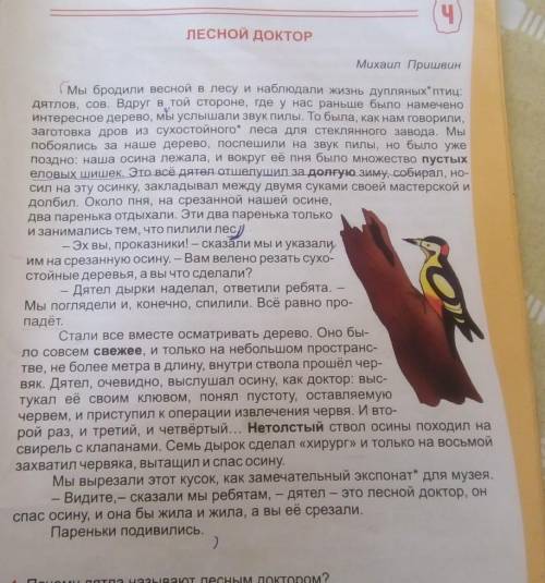 . списать текст Лесной доктор и подчеркнуть прилагательные, существительные и глаголы ​