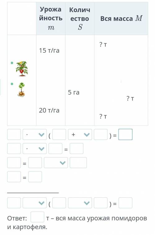 На фермерском поле площадью 5 гектаров растут помидоры и на такой же площади поля растёт картофель. 