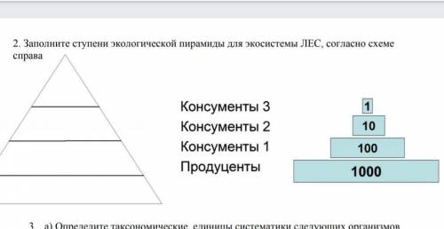 2. Заполните ступени экологической пирамиды для экосистемы ЛЕС, согласно схеме справаКонсументы 3 Ко