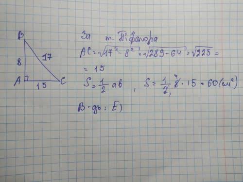 Найдите площадь прямоугольного треугольника, гипотенуза которого 17 см, а один из катетов равен 8 см