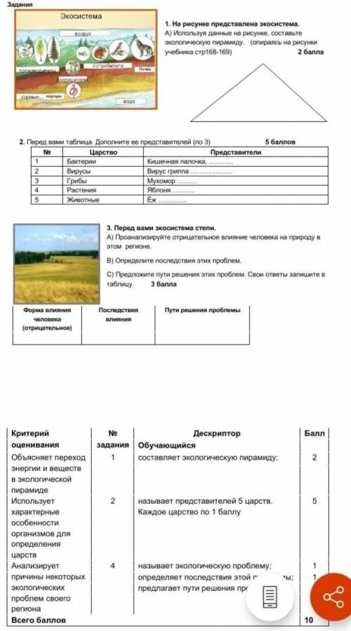 1. На рисунке представлена экосистема. А) Используя данные на рисунке, составьте экологическую пирам