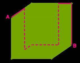 Муха ползает по поверхности куба вдоль красной линии от точки A к точке B. Определи длину проделанно