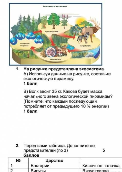 В) Волк весит 35 кг. Какова будет масса начального звена экологической пирамиды? (Помните, что кажды