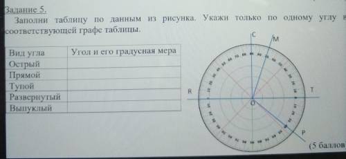 Задание 5. Заполни таблицу по данным из рисунка. Укажи только по одному углу в соответствующей графе