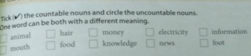 1 Tick (v) the countable nouns and circle the uncountable nouns. One word can be both with a differe