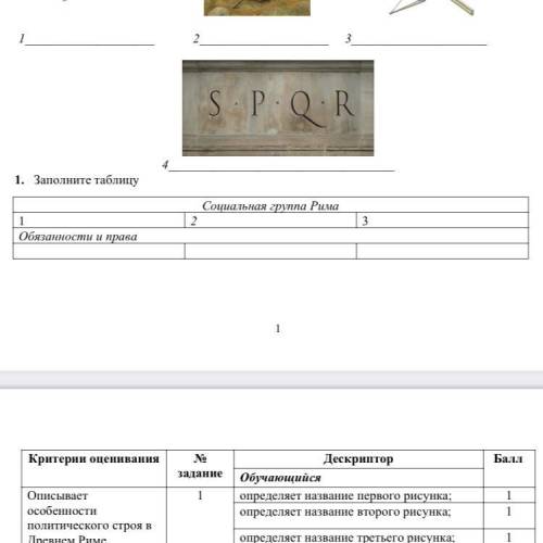 Заполните таблицу социальная группа Рима