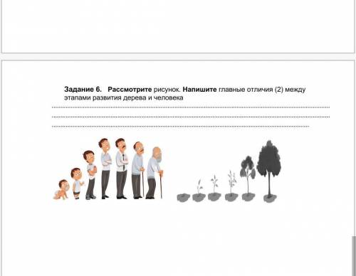 Писать и рисовать в чем разница