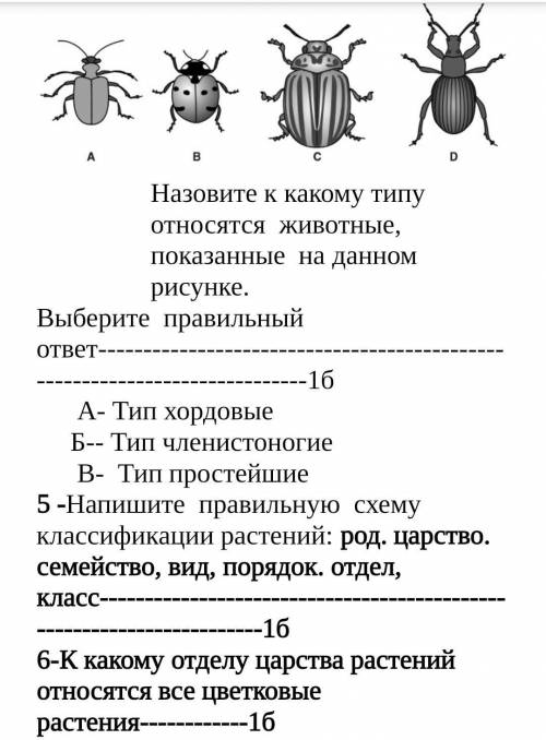 Кто решит правильно решите все на картинке​