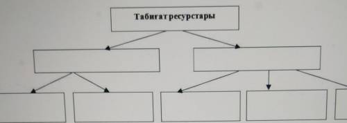 Төмендегі сызбаға табиғат ресурстарын түрлеріне қарай ажыратып, кестені толтырыңыз​