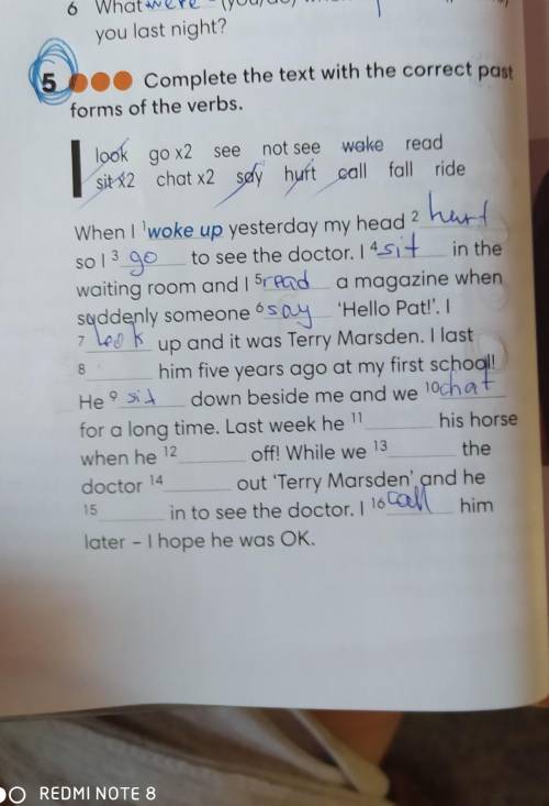 Complete the text with the correct past formsb​