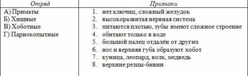 Установите соответствие между отрядом и признаками, которые к этому отряду относятся