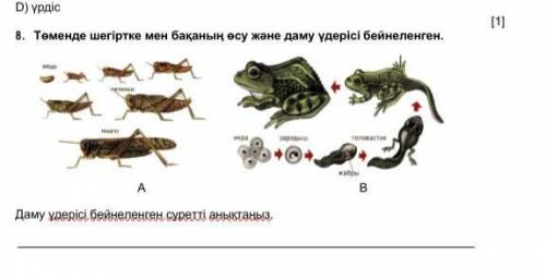 Тжб биология 7 класс 4 четверть ​