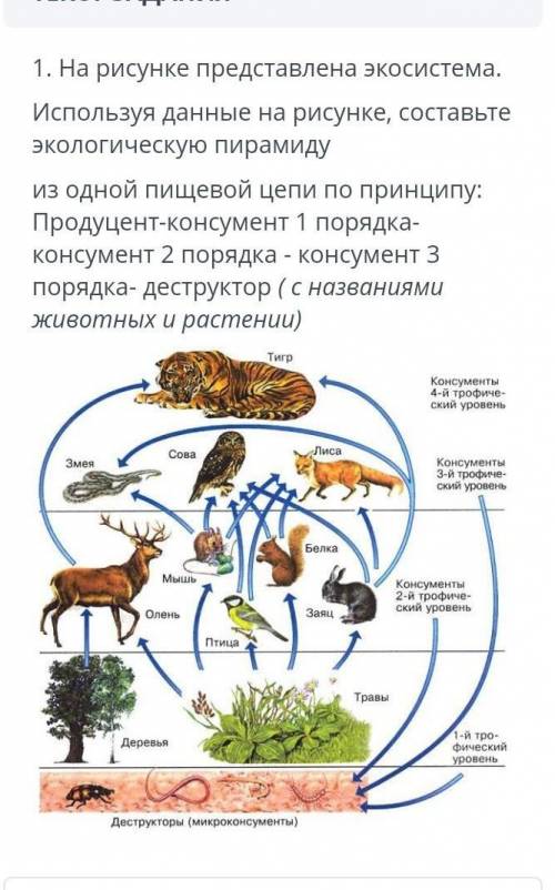 (постараюсь просто у меня глюки и может дать 5)​