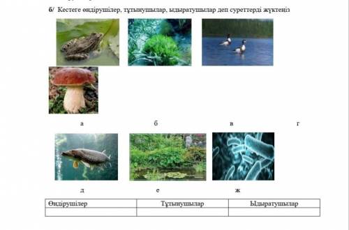 Б/ Кестеге өндірушілер, тұтынушылар, ыдыратушылар деп суреттерді жүктеңіз. а, б, в, г, д, е, ж. Өнді