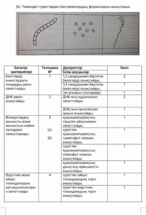 1b.ген угымын тусиндиру 2.ДНК-нын курылысын тусиндиредиДНК-нын орналаскан орнын аныктайды​