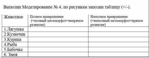 Животное Полное превращение (=полный метаморфоз=непрямое развитие) Неполное превращение(=неполный ме