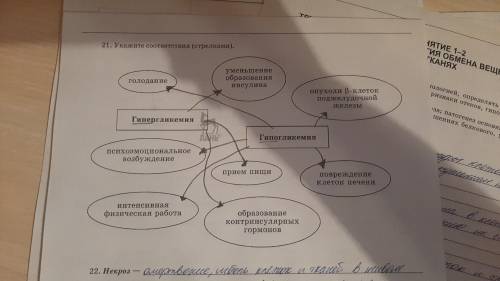 Укажите соответствия (стрелками) Гипергликемия и гипогликемияГолодание, уменьшение образование инсул