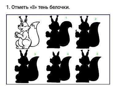 Какая тут тень белочки? Номер 1, 2, 3, 4, или 5?​ Перепутала это не Русский, а Естествознание