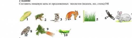 Составить пищевую цепь из предложенных экосистем (водоем, лес, степь) 3 б