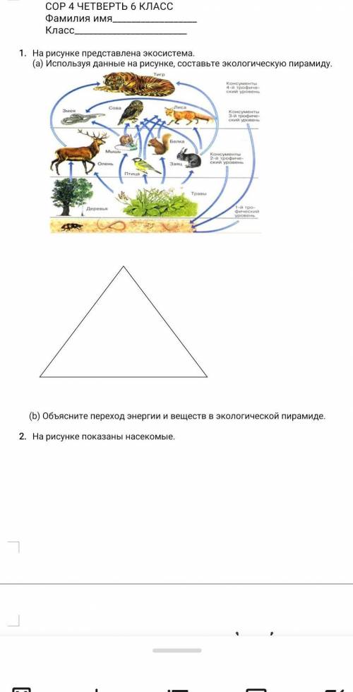 Сор за 4четверть по естествознанию 6класс​